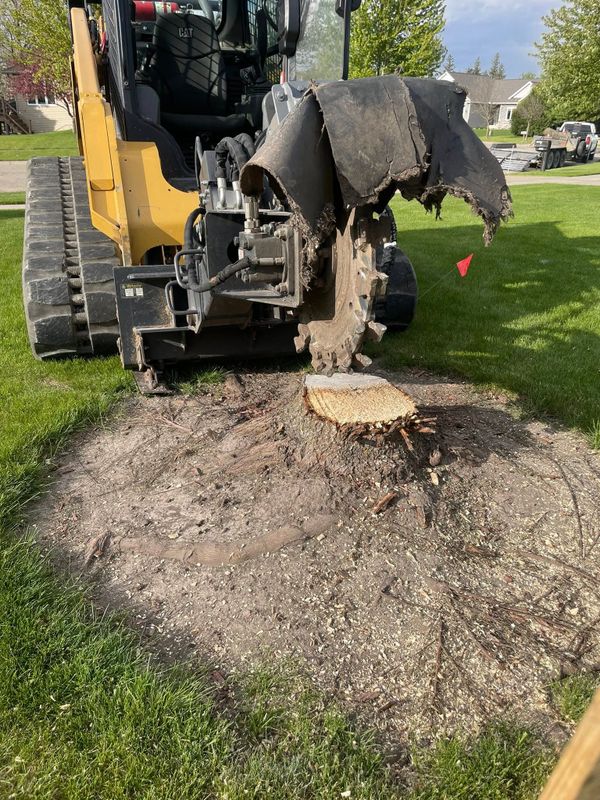 Stump Removal