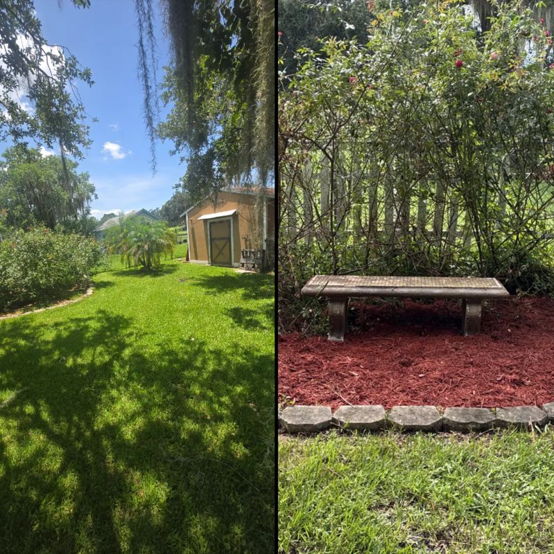 Tree and Hedge Care