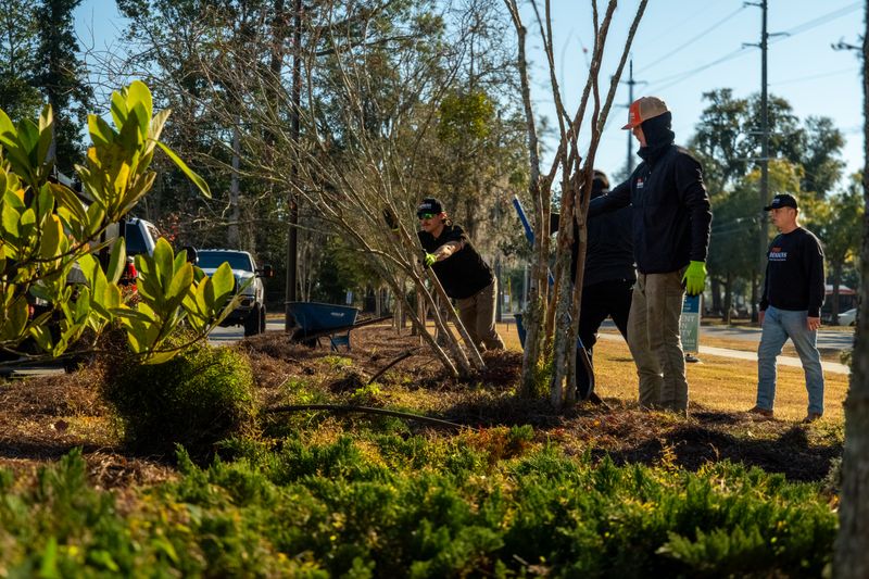 Landscaping