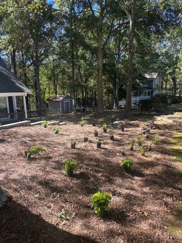 Landscape Design and Installation