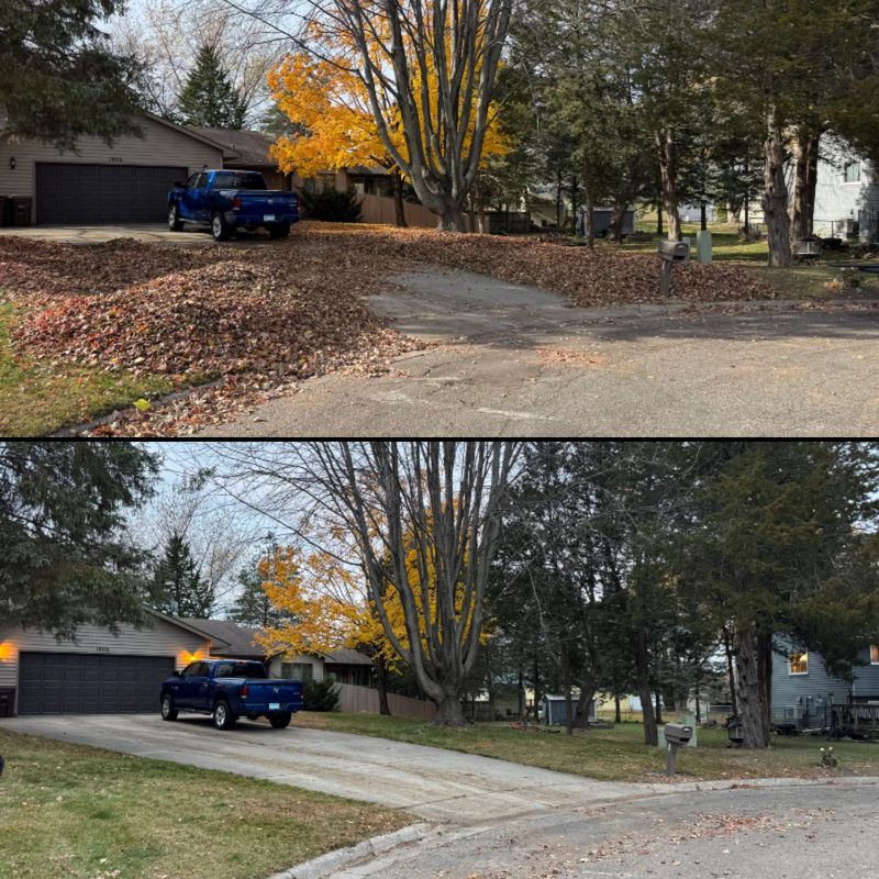 Fall Cleanup
