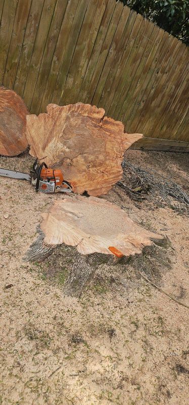 Tree Removal