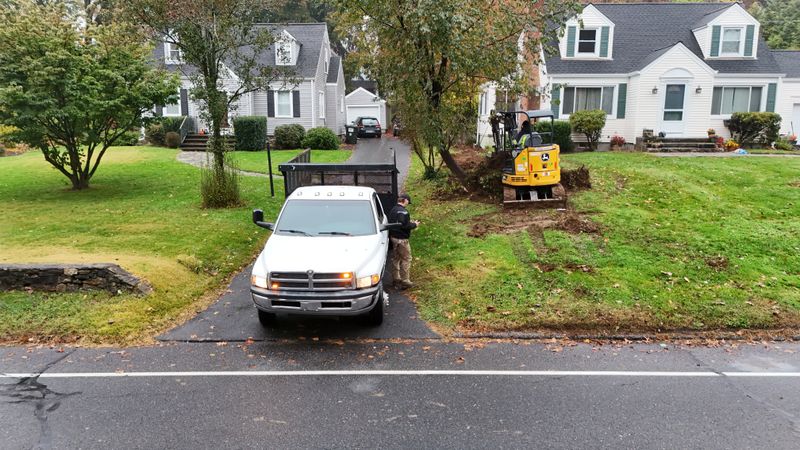 Plantings & Landscape Design