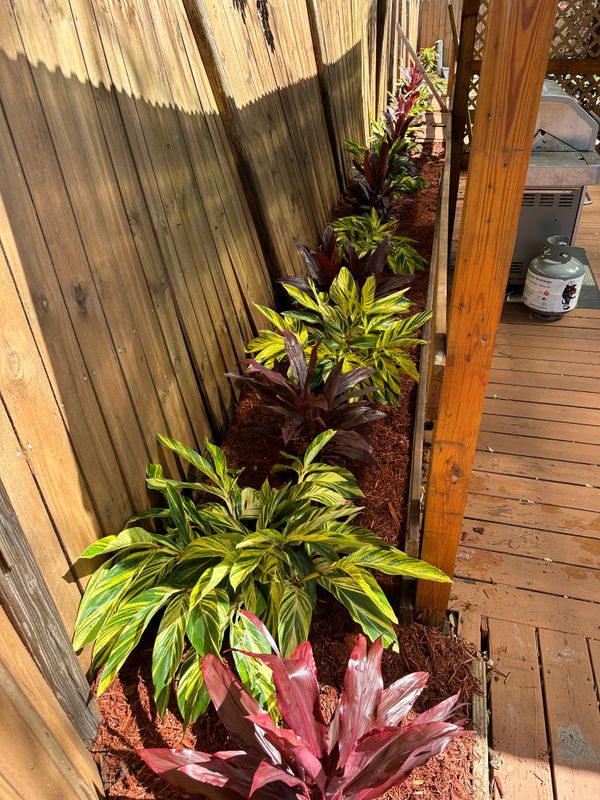Landscaping