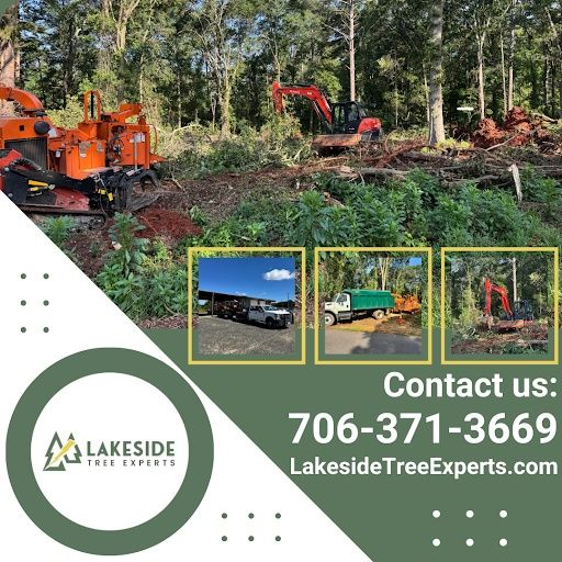 Land Clearing