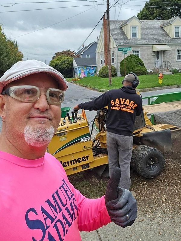 Tree Services