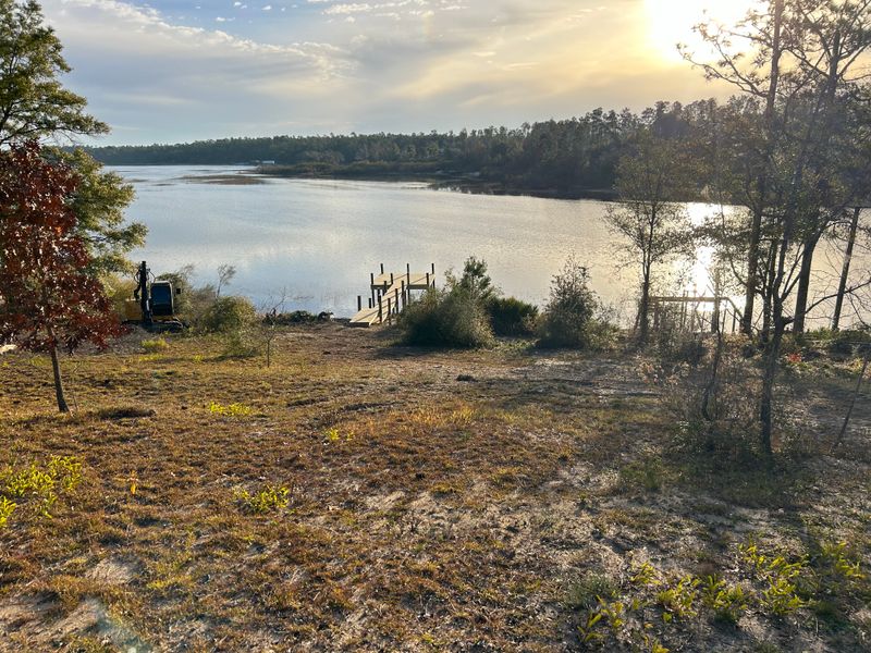 Land Clearing/ Forestry mulching gallery