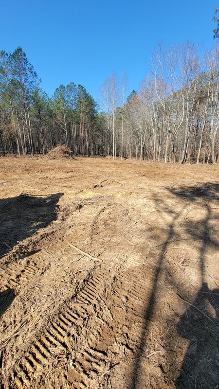 Land Clearing
