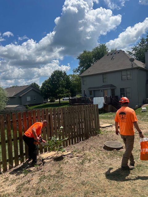 Shrub Trimming
