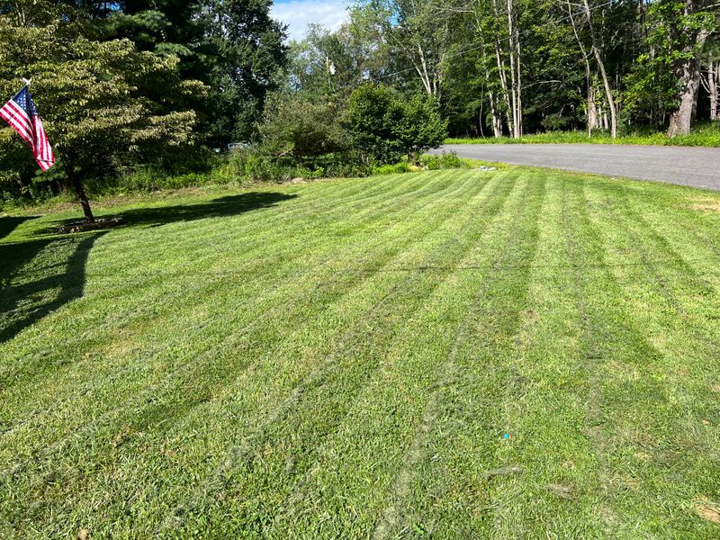 Lawn Care gallery