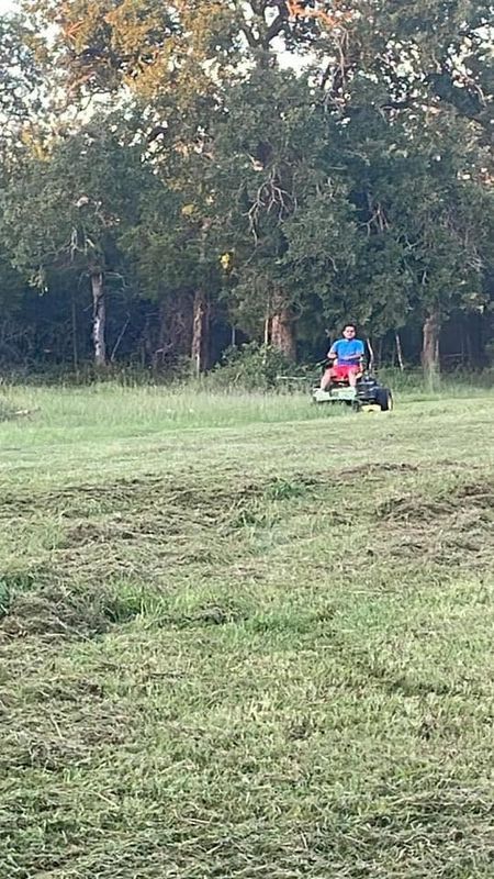 Lawn Maintenance