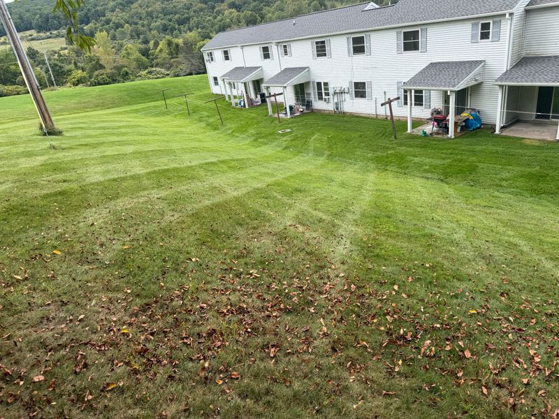 Lawn Maintenance