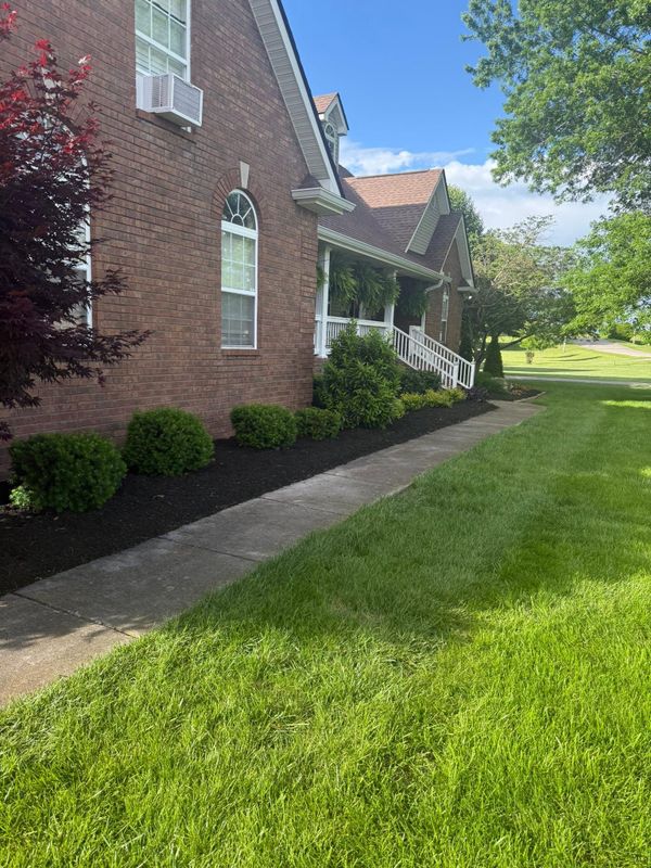 Mulch Installation
