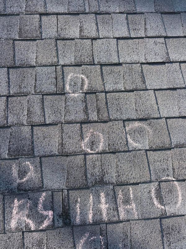 Roof and Crawlspace Inspections