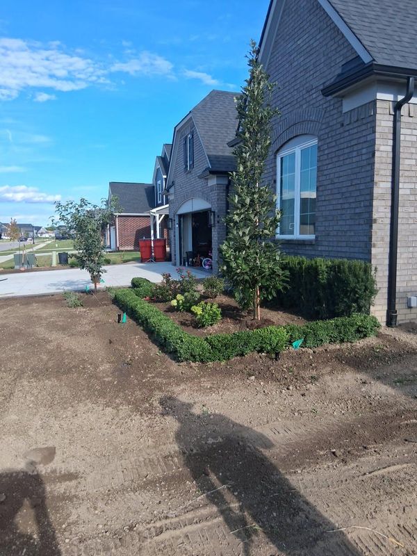 Mulch Installation