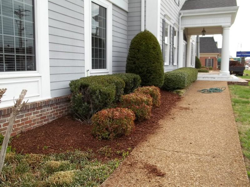 Landscaping