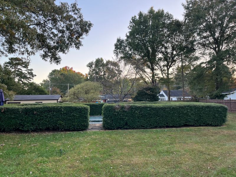 Shrub Trimming gallery