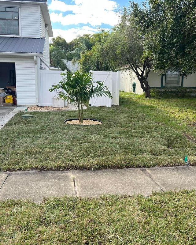 Sod Installation