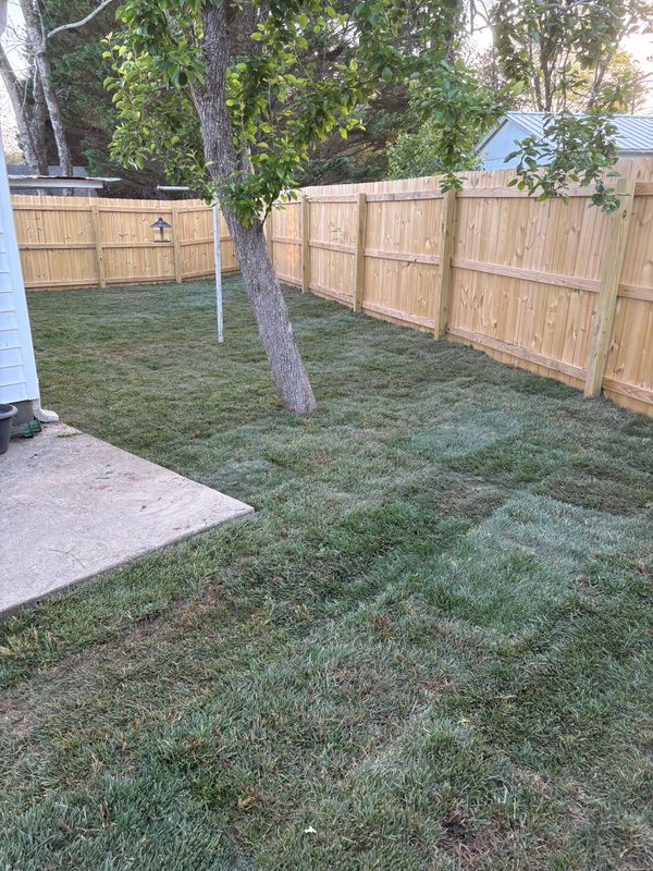 Sod Installation