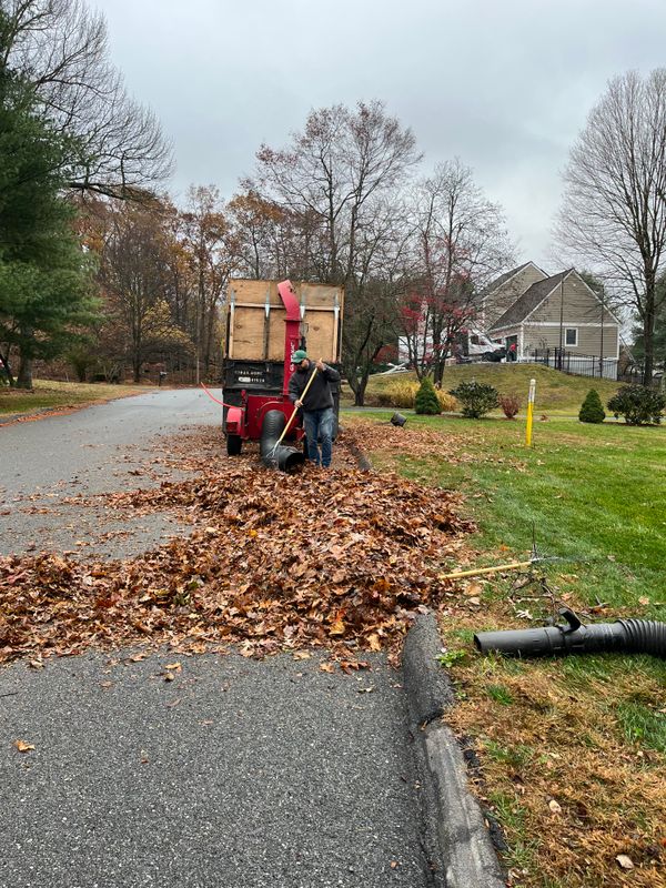 Fall Clean Up