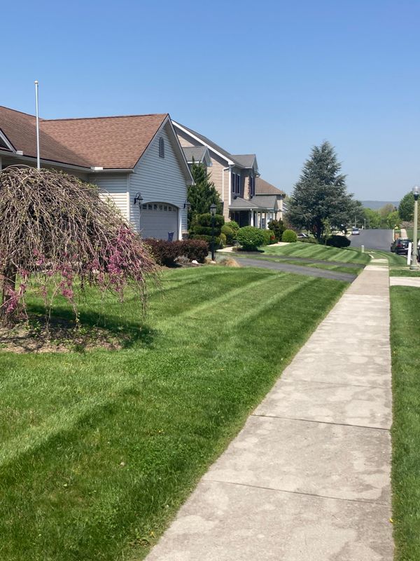 Lawn Maintenance