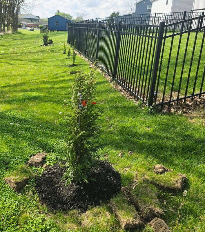 Garden Designs