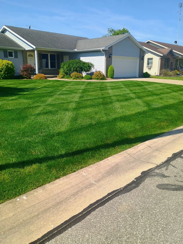 Lawn Care and Maintenance