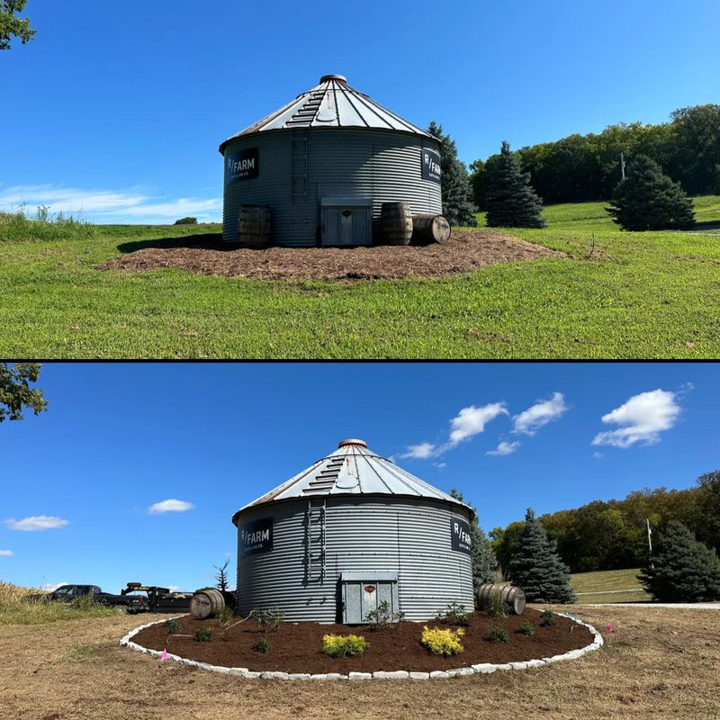 Before and After Transformations