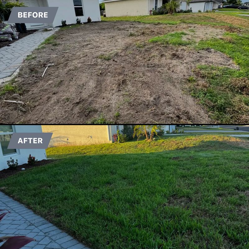 Sod installation