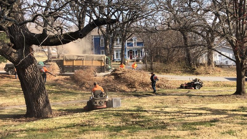 Spring and Fall Clean-Ups