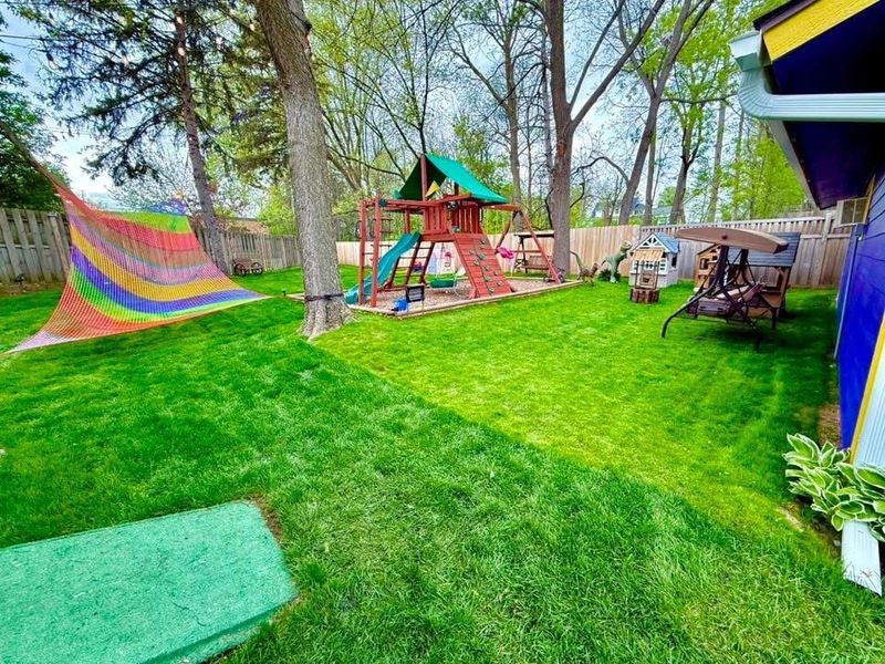 Lawn Care Programs