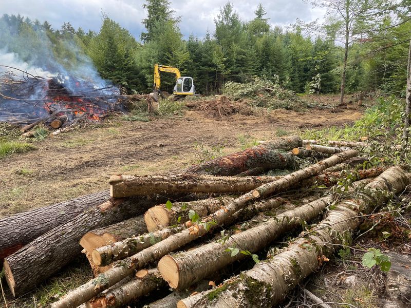 House Site