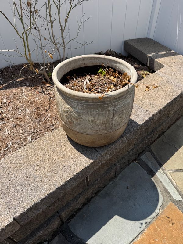 Planting gallery