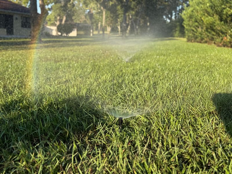 Drip Irrigation Installation and Maintenance