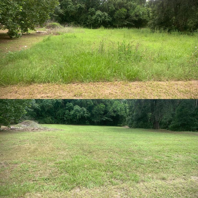 Landscape Maintenance & Mowing Services