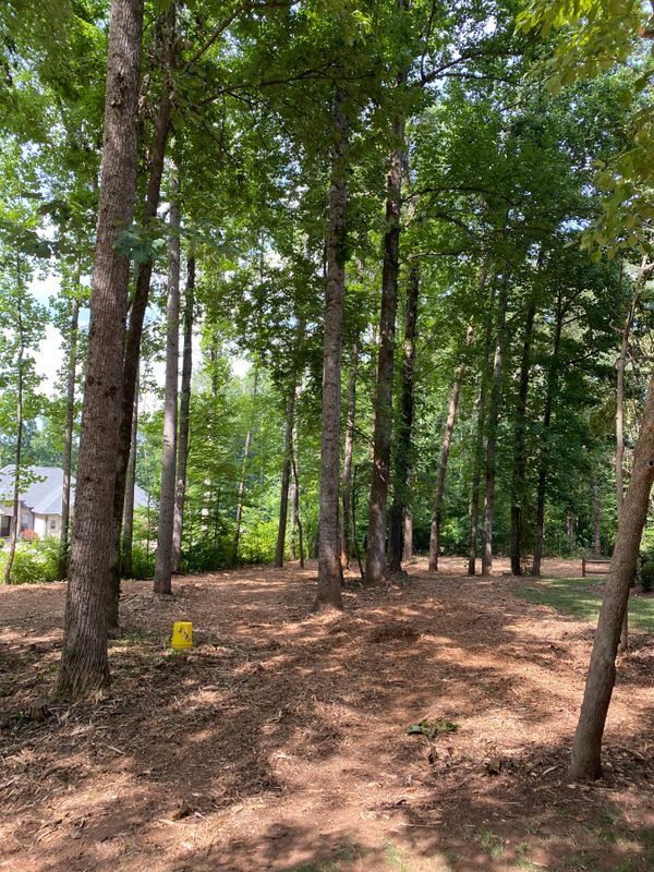 Forestry Mulching