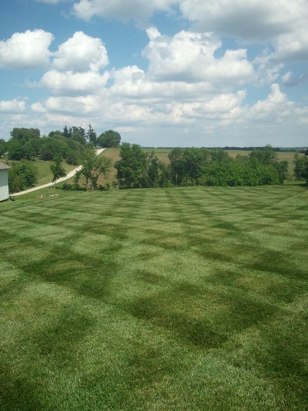 Lawn Mowing