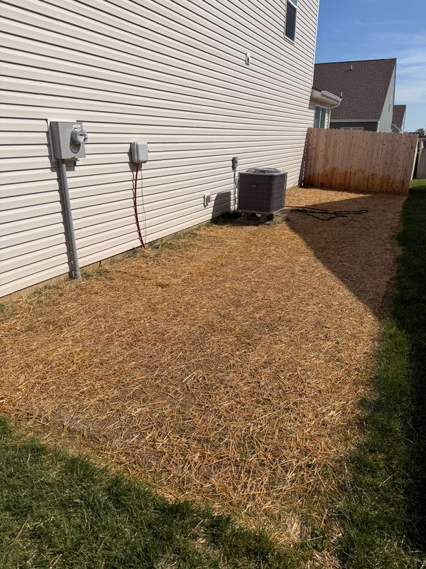 Lawn Seeding & Over-seeding