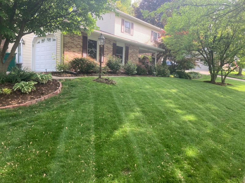 Lawn Maintenance