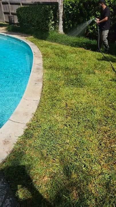 Commercial Lawn Maintenance