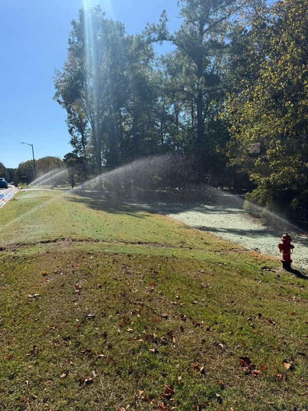 Hydroseeding