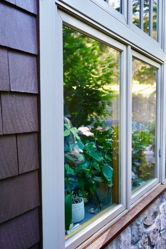 Window Cleaning