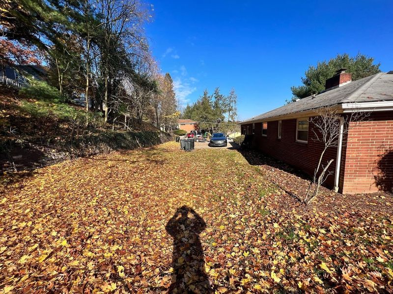 Fall and Spring Clean Up