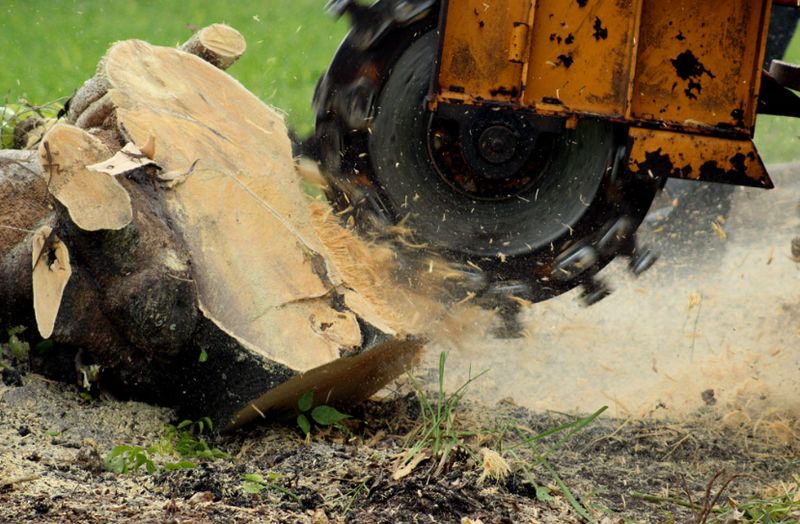 Stump Removal