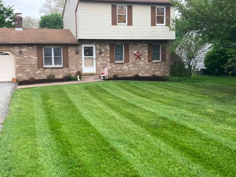 Lawn Maintenance