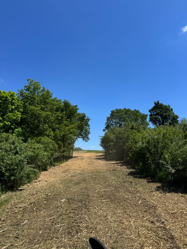 Land Clearing