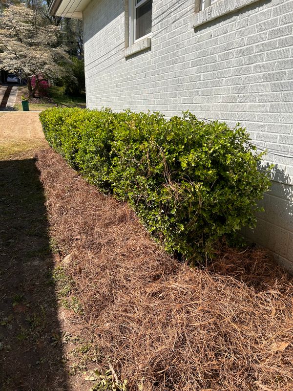 Landscaping