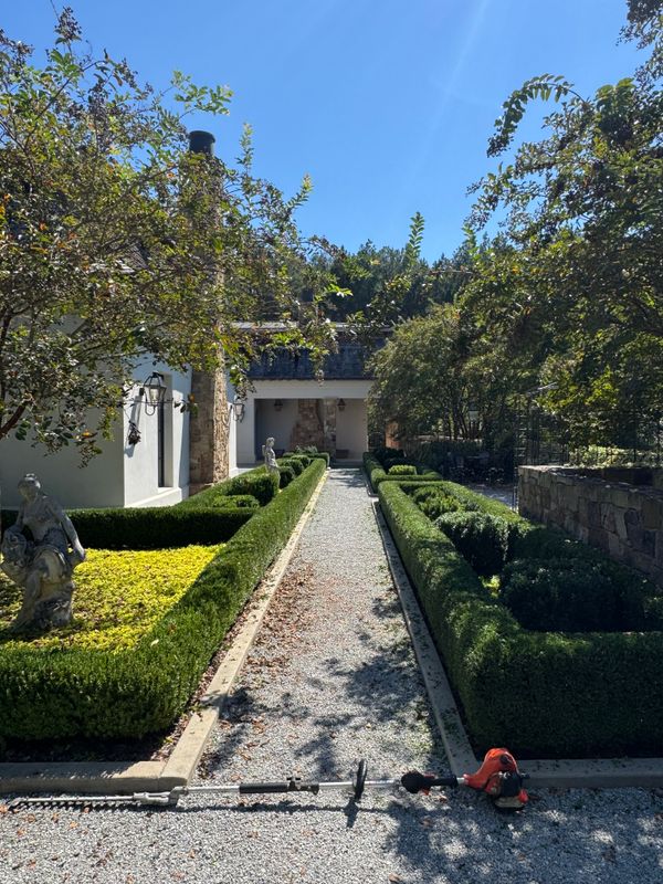 Shrub Trimming