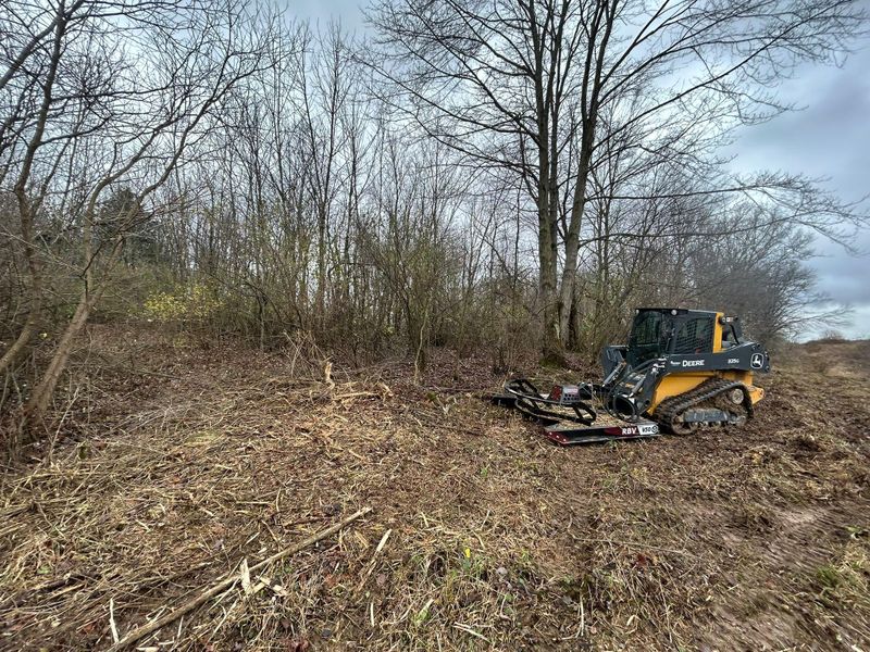 Land Clearing & Demolition