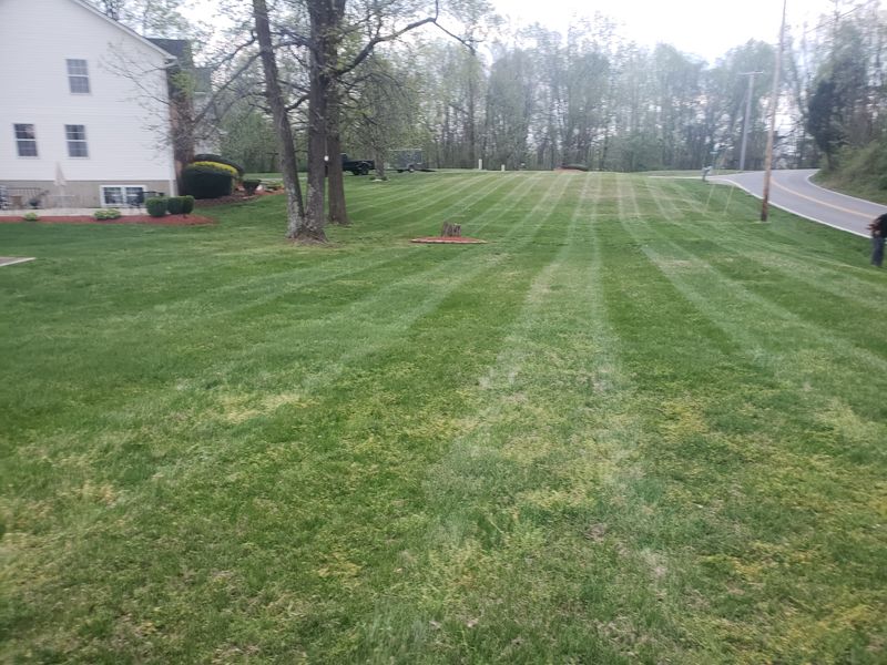 Lawn Maintenance